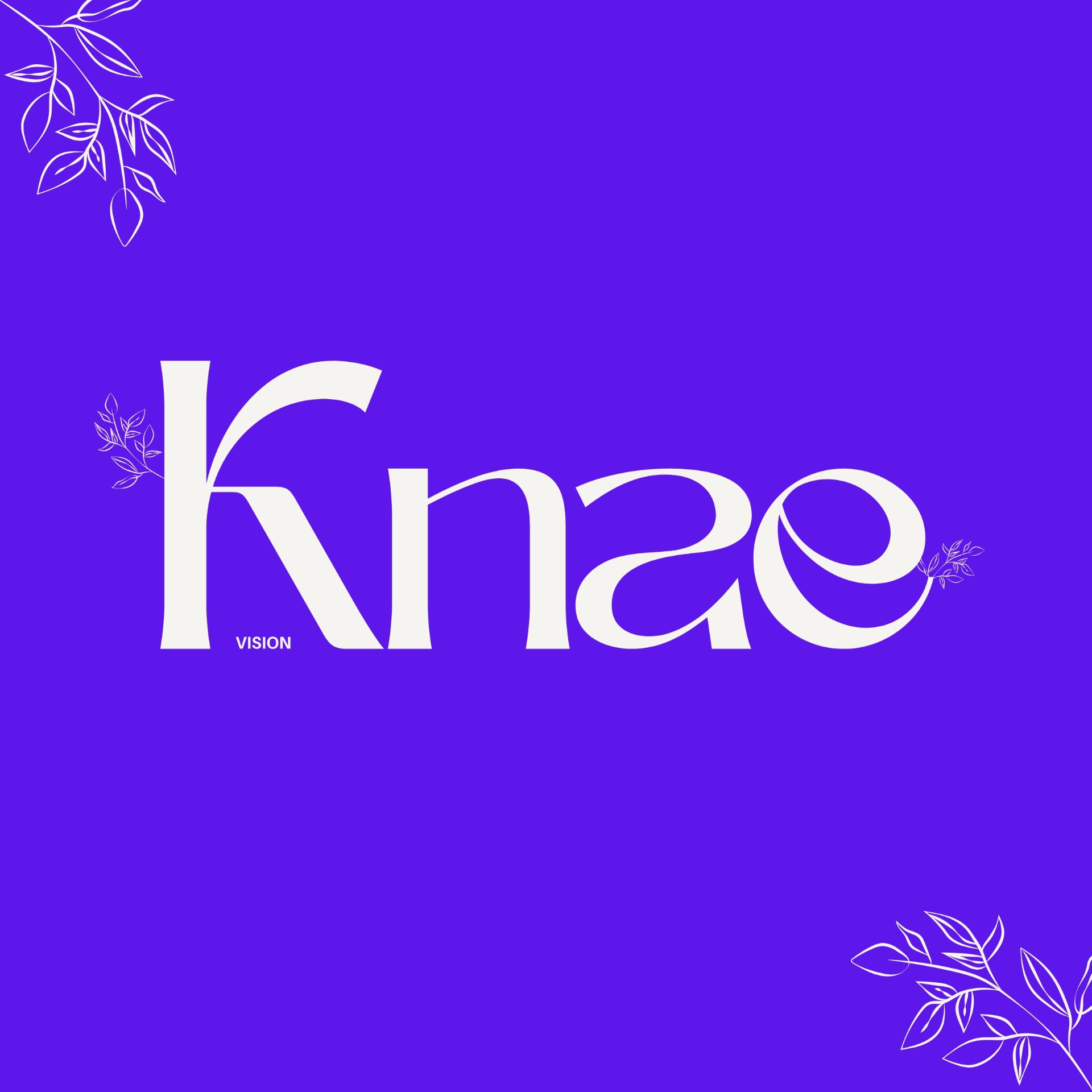 Logo KNAE Vision blanc sur fond violet