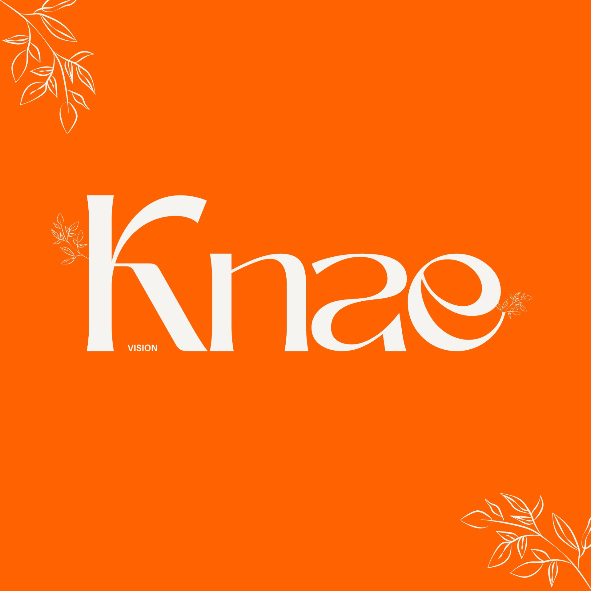 Logo KNAE Vision blanc sur fond orange